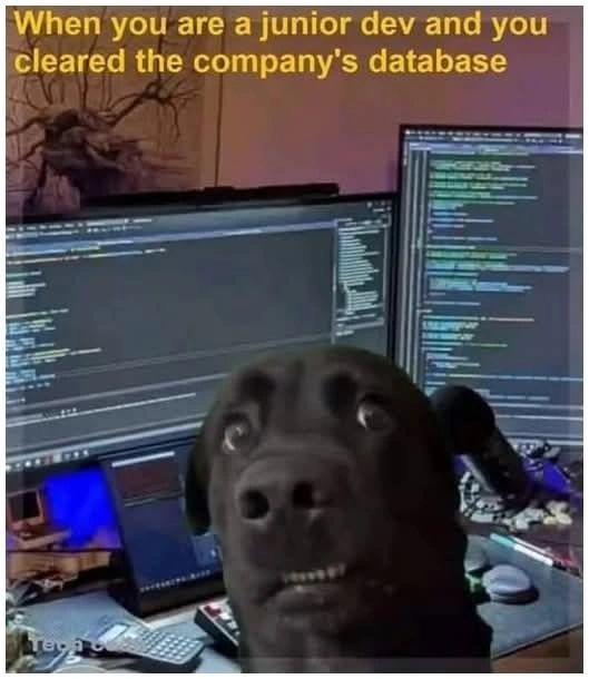 GodwilTangwa's tweet image. Programmers and developers, which one is your life today? 😅

I’ve got 4 memes that capture coding reality. Comment the one you relate to most or share your own story!

#DevHumor #ProgrammerLife #Coding