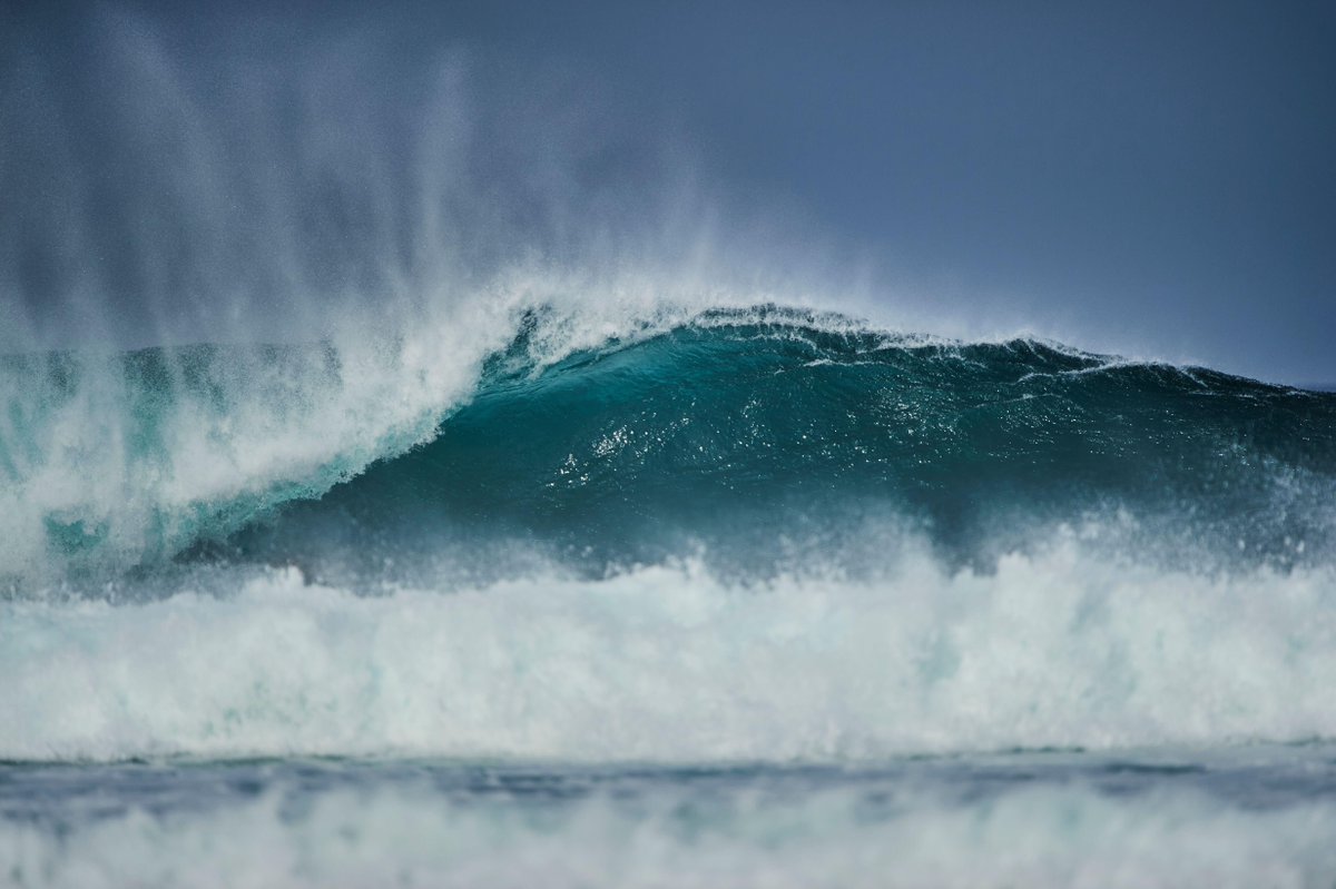 Guest post: Exploring the risks of ‘cascading’ tipping points in a warming world | Dr Nico Wunderling and Thilo Körkel #CBarchive

Read here: buff.ly/i9bG66D