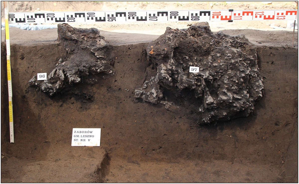 Remains of two iron slag-pit furnaces from the pre-Roman mass iron production centre of Mazovia, Poland #IronworkThursday
As iron is smelted, slag drops into the pit below, providing archaeological evidence for over 15,000 furnaces in the region.

🆓 doi.org/10.15184/aqy.2…