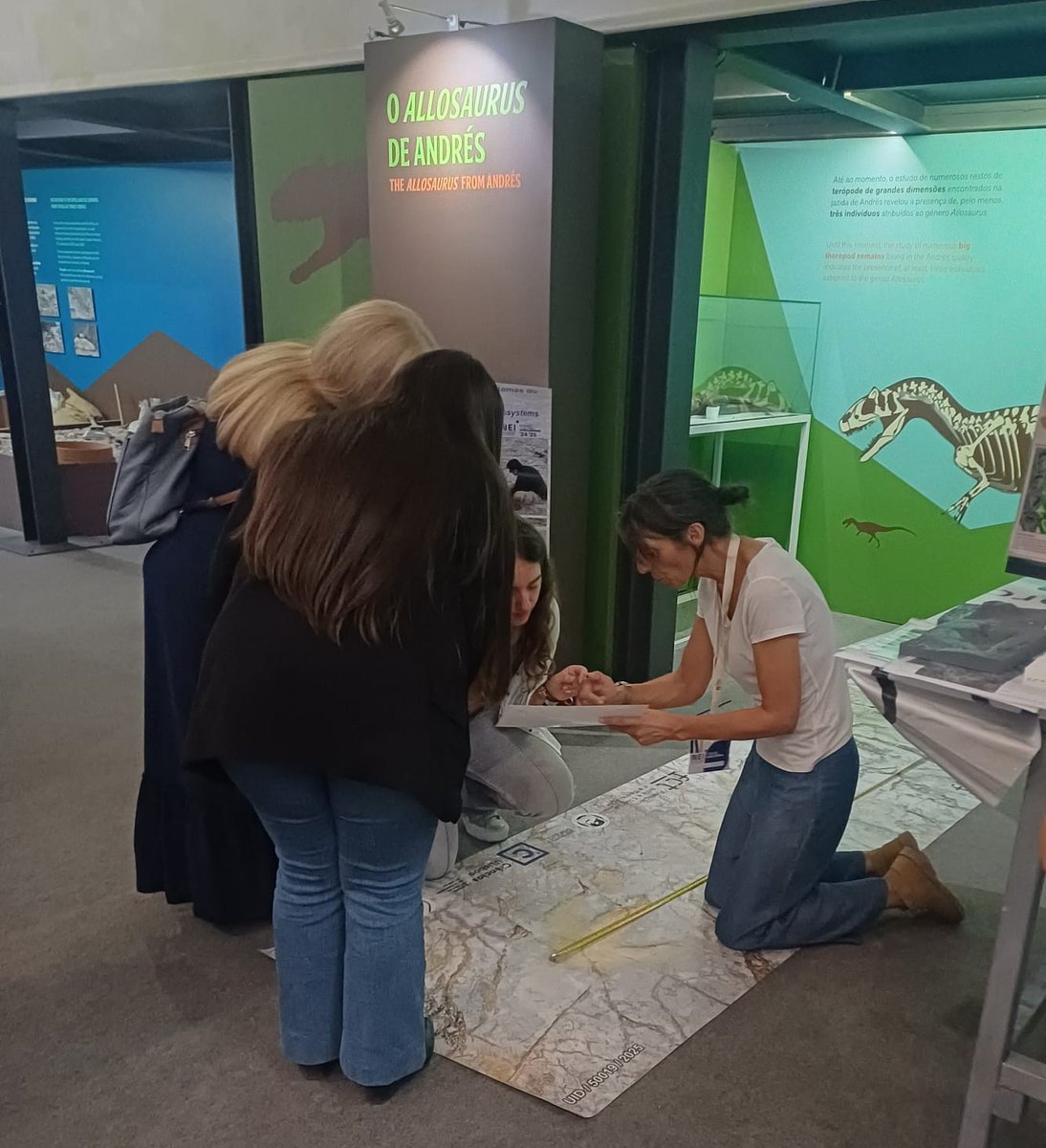 Instituto Dom Luiz tweet media