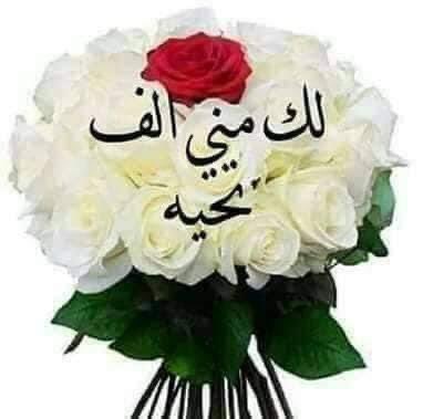 Maged Ali tweet media