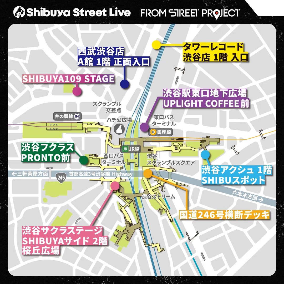 SeiN / セイン tweet media