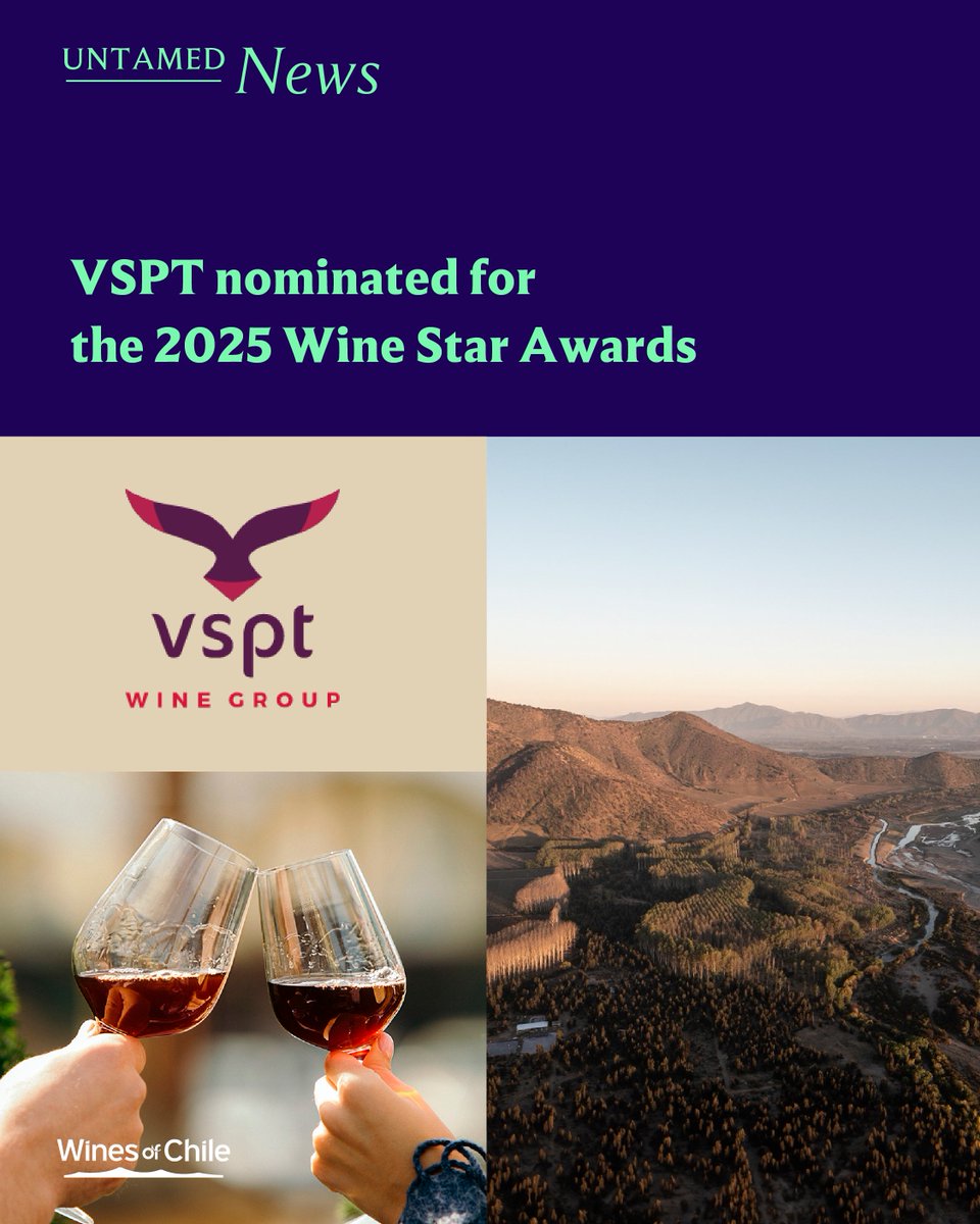 DrinkChile's tweet photo. 🚨 Untamed News 🚨
 VSPT Wine Group nominado en los Wine Star Awards 2025 🌍🍷 (Wine Enthusiast) como Environmental Advocate of the Year.
Desde Wines of Chile celebramos este reconocimiento al liderazgo en sostenibilidad 🌱.
#WinesOfChile #ChileanWine #UntamedJourney https://t.co/arRO2Gf6M4