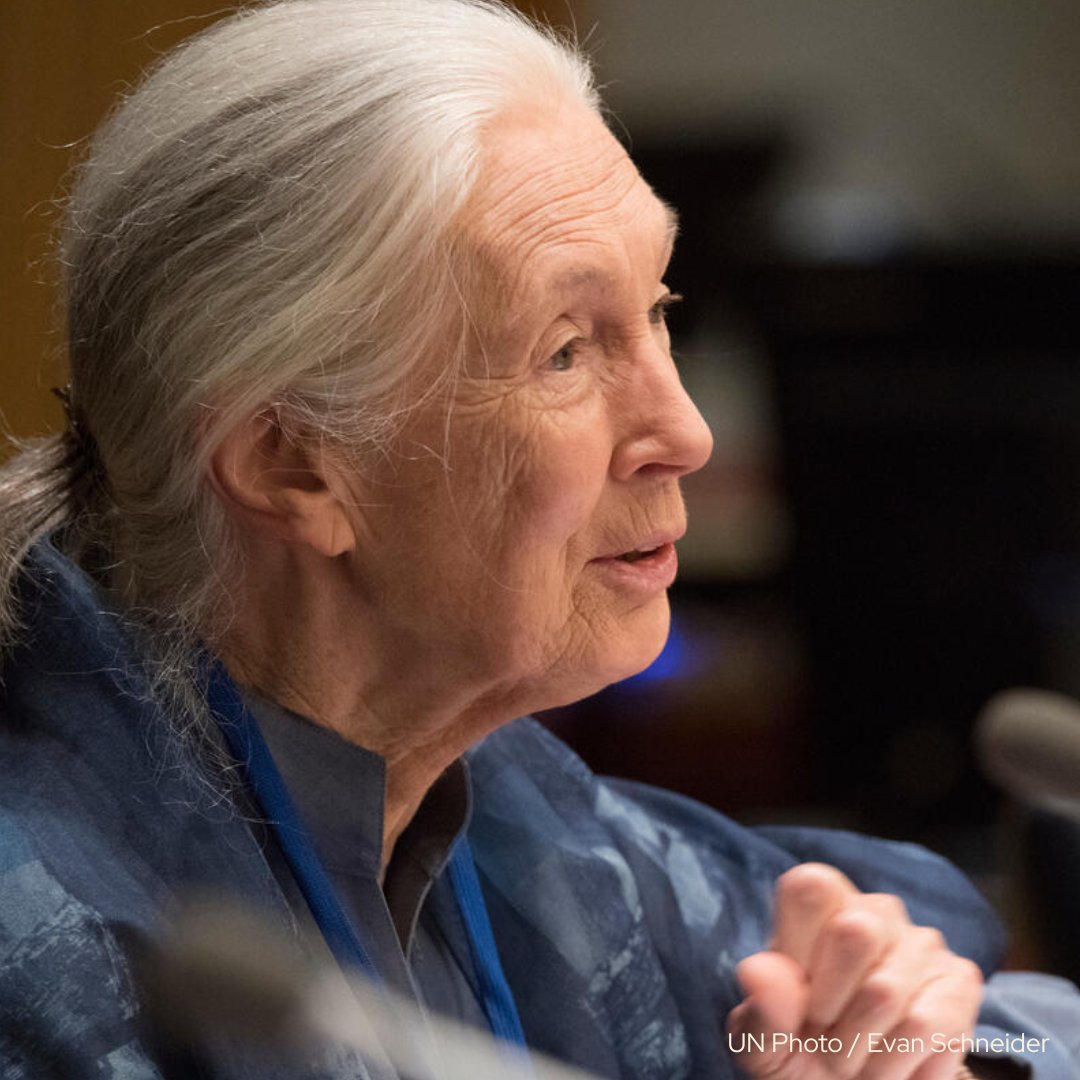 UN Climate Change tweet media