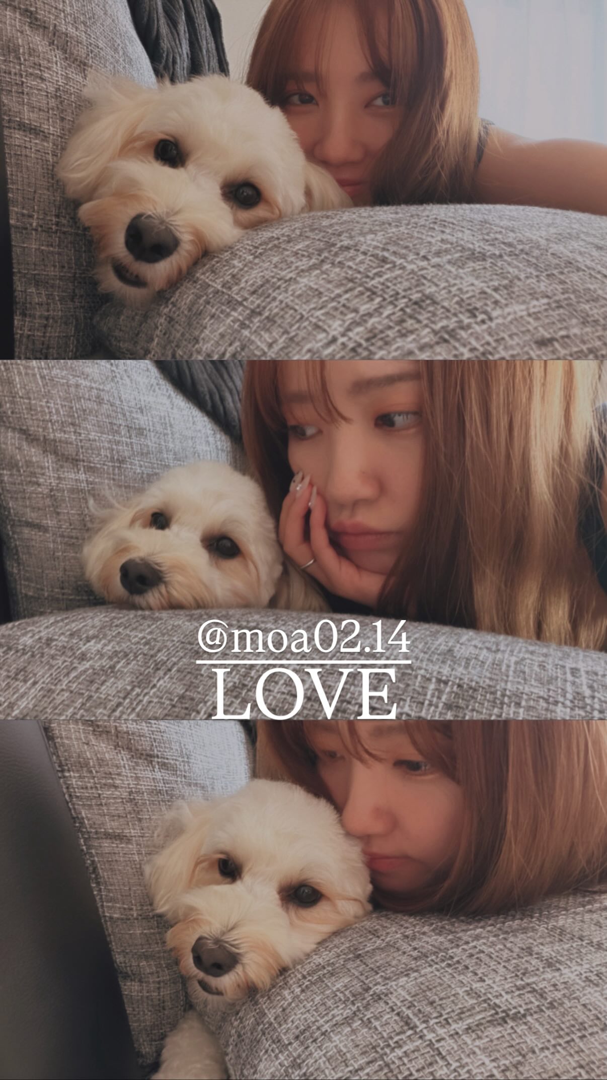 yosshi　　加藤玲奈セット① 加藤玲奈 on X: 