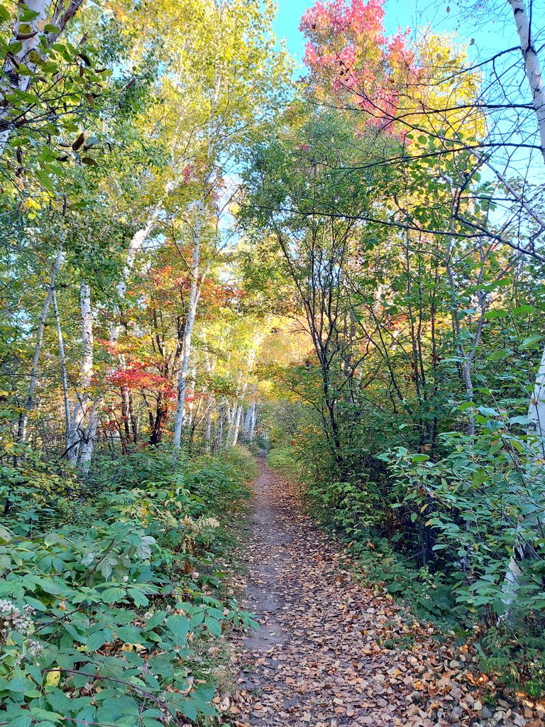 Calm fall morning...🍁