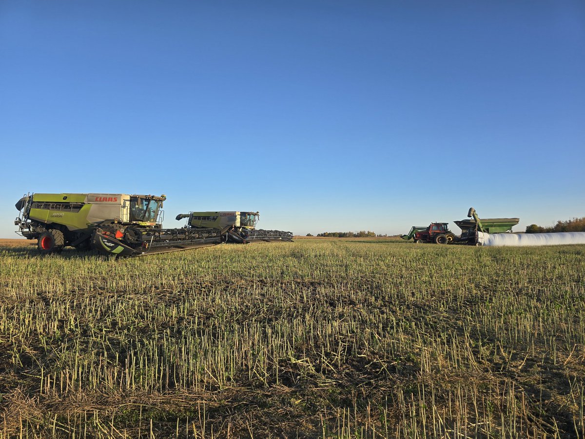 Another beauty fall day to clean up some acres!!!   Enjoying the ride to the finish line.  🍻 cheers everyone!!!