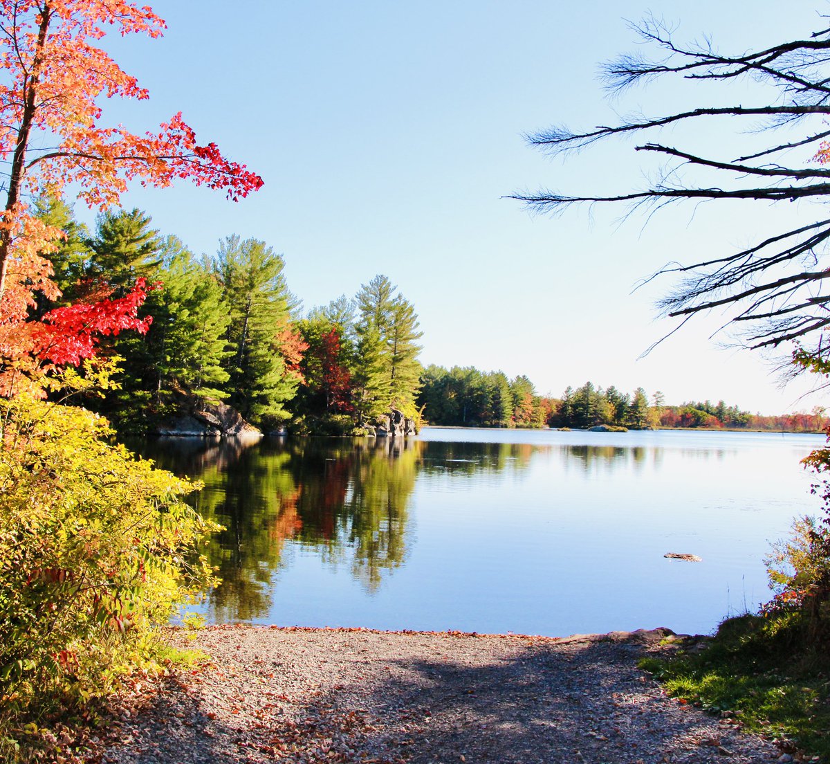 Peak is upon us, more so in the northern reaches of the county. 
No time better to check out the trails, the backroads and black tops that lead to a second look.
#fallfoliage #autumn #october #LennoxAddington #unspoiled