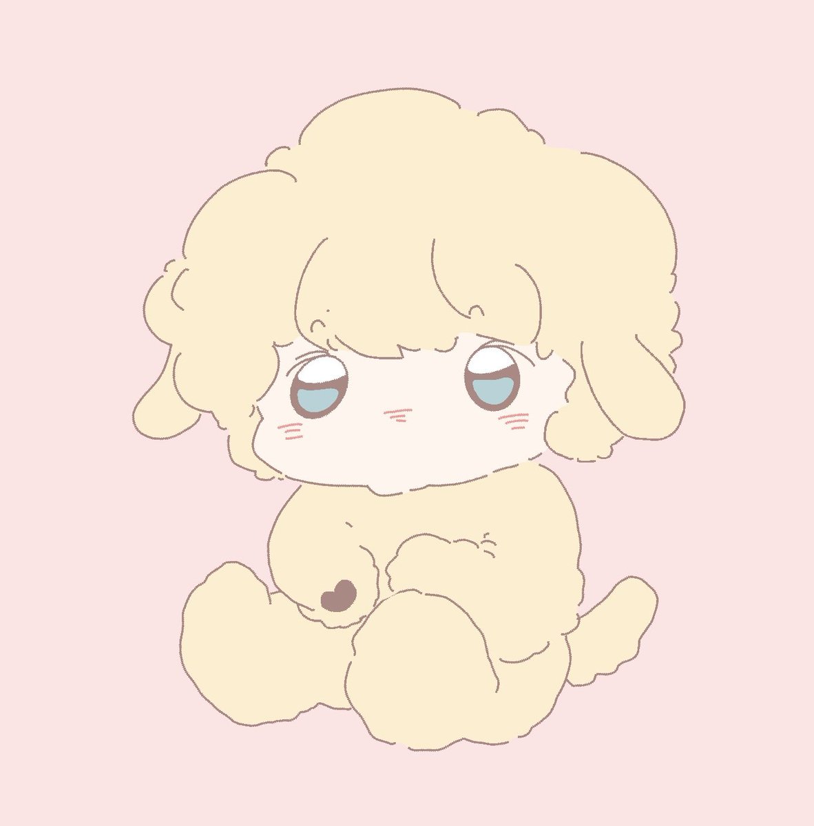 요즘 런쥔이 머리 뻗쳐서 고양이인지 강아지인지 양인지 되는 거 너무 귀엽다고 생각