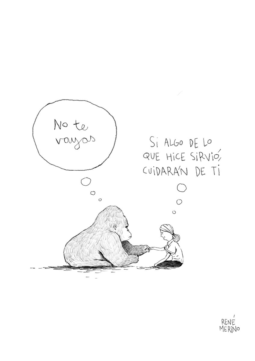 Adiós y muchas gracias, Jane Goodall.