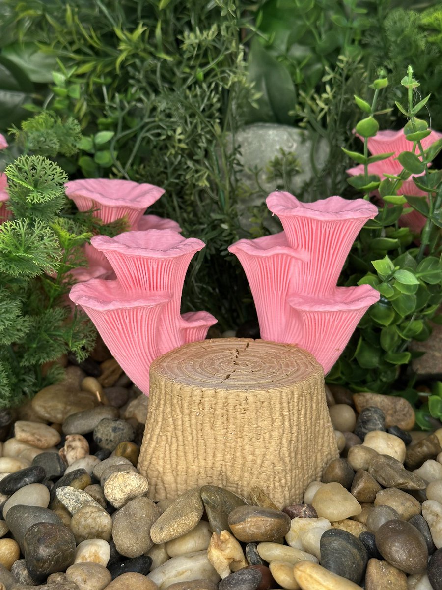 davemakesstuff_'s tweet image. If you were small enough you could climb up on this log, lean back against a mushroom and take a nap. 😴🍄😴

Printed on my @lulzbot3D TAZ 8 with @sliceworx “White Pine”

Designed with @ntopology

Download for free from @Thangs3D : than.gs/m/1438673