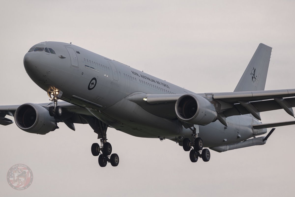 Wild Weasel tweet media