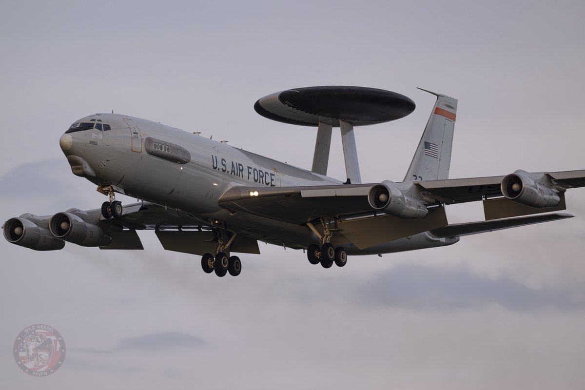 Wild Weasel tweet media