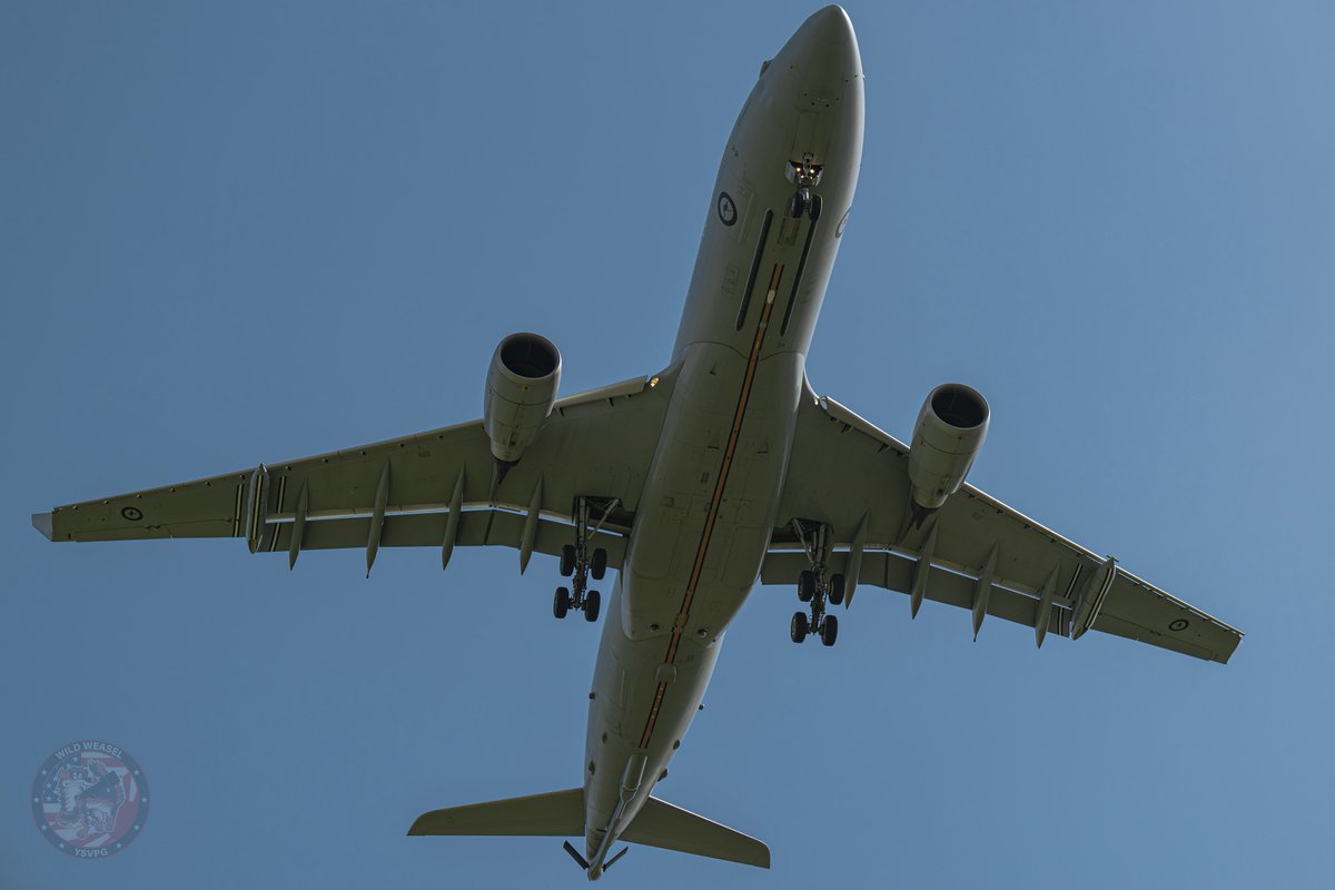 Wild Weasel tweet media