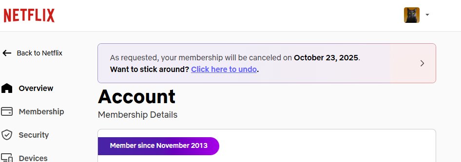 I had no idea what Netflix was doing. Otherwise I would have cancelled sooner.