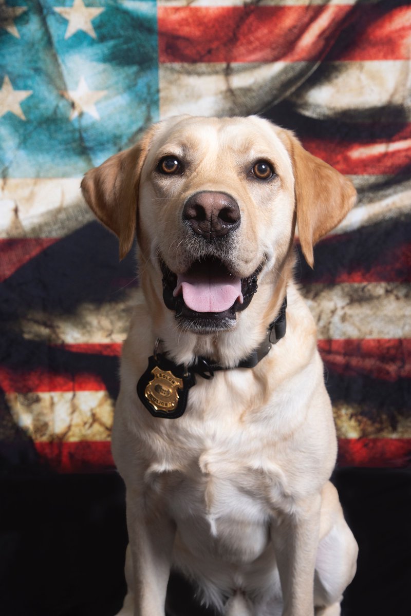 SolonPolice's tweet image. SPD offering free "Child ID kits" at Solon's Fall Festival this Sat; Bicentennial Park, 10am - 4pm.  Therapy K9 Henry will be there till 2. These kits can be useful in the event your child goes missing (God forbid). solonohio.gov/1436/City-of-S… #CrimePrevention #solonohio