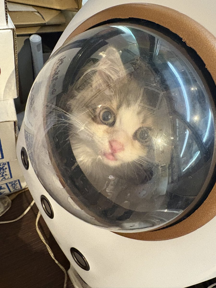 𝕃𝕚𝚕𝕪 (@_____Lily2230) / Posts / X