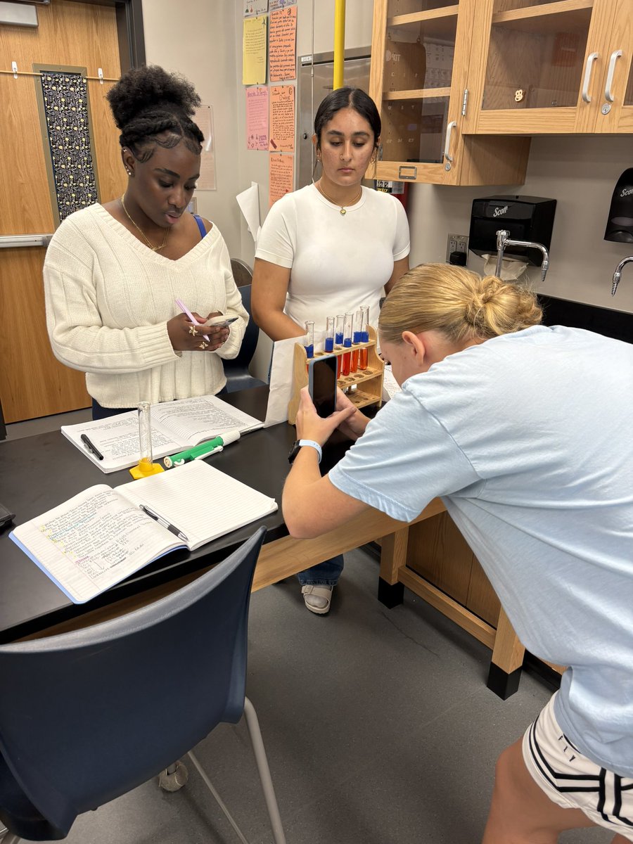 Beer’s Law Lab (no, not that kind of beer) on Adam Sandler day in Honors chem