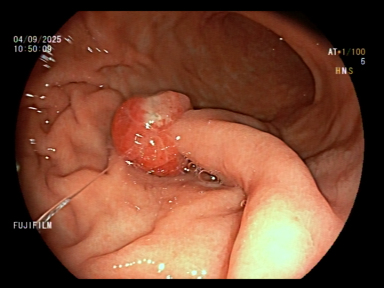 Aleksandar Gavric tweet media