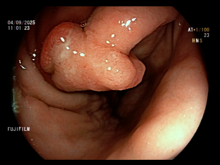 Aleksandar Gavric tweet media