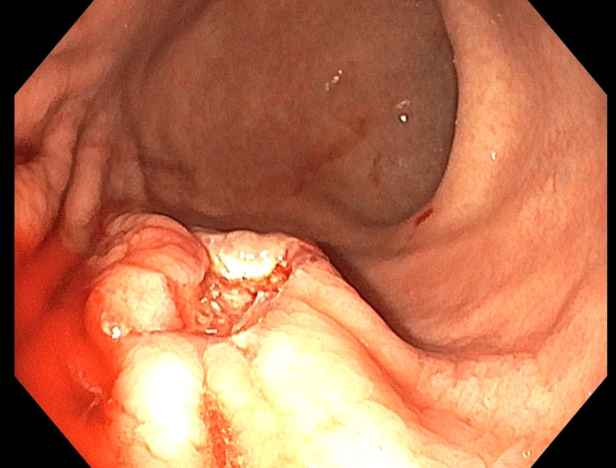 Aleksandar Gavric tweet media