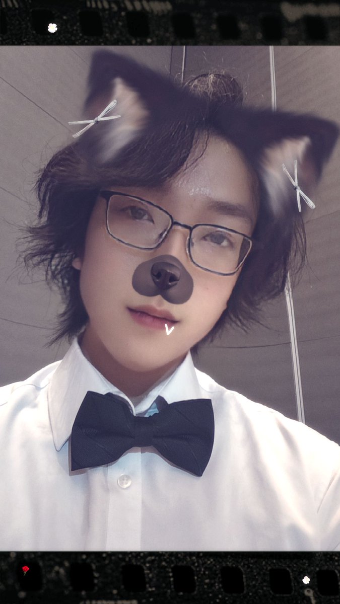 Poor_xiaofeng's tweet photo. 今天是可爱小狗~ https://t.co/LD4j7RanD7