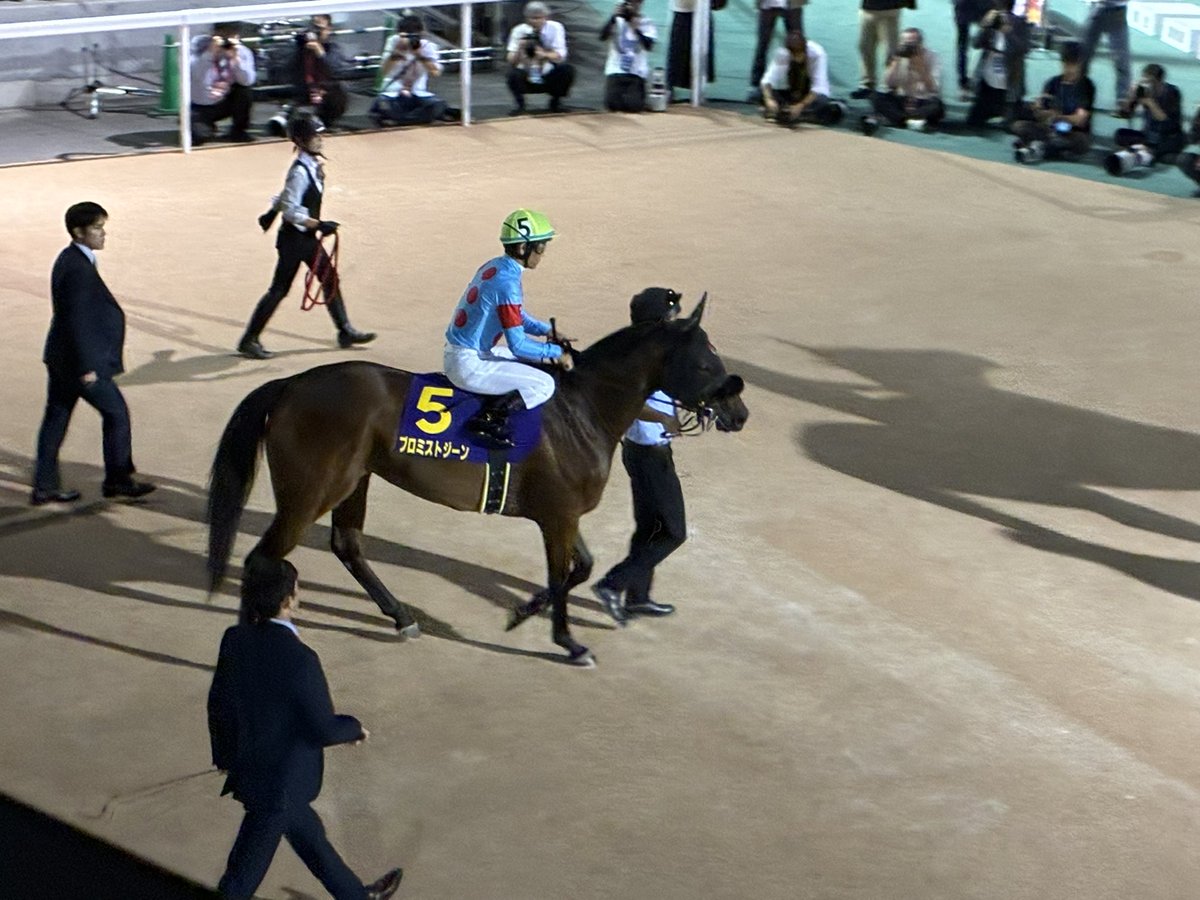 Ebiebi0710's tweet image. 残念ながら3着でしたが頑張ってくれました！

#SILKHCofficial 
#プロミストジーン
