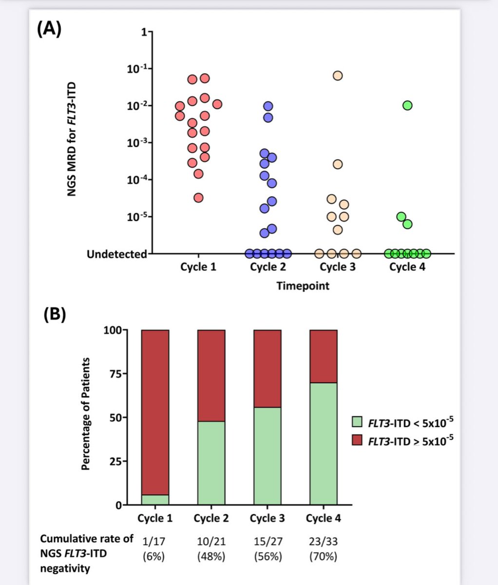 Sanam Loghavi, MD صنم لغوی 🔬🧬 tweet media
