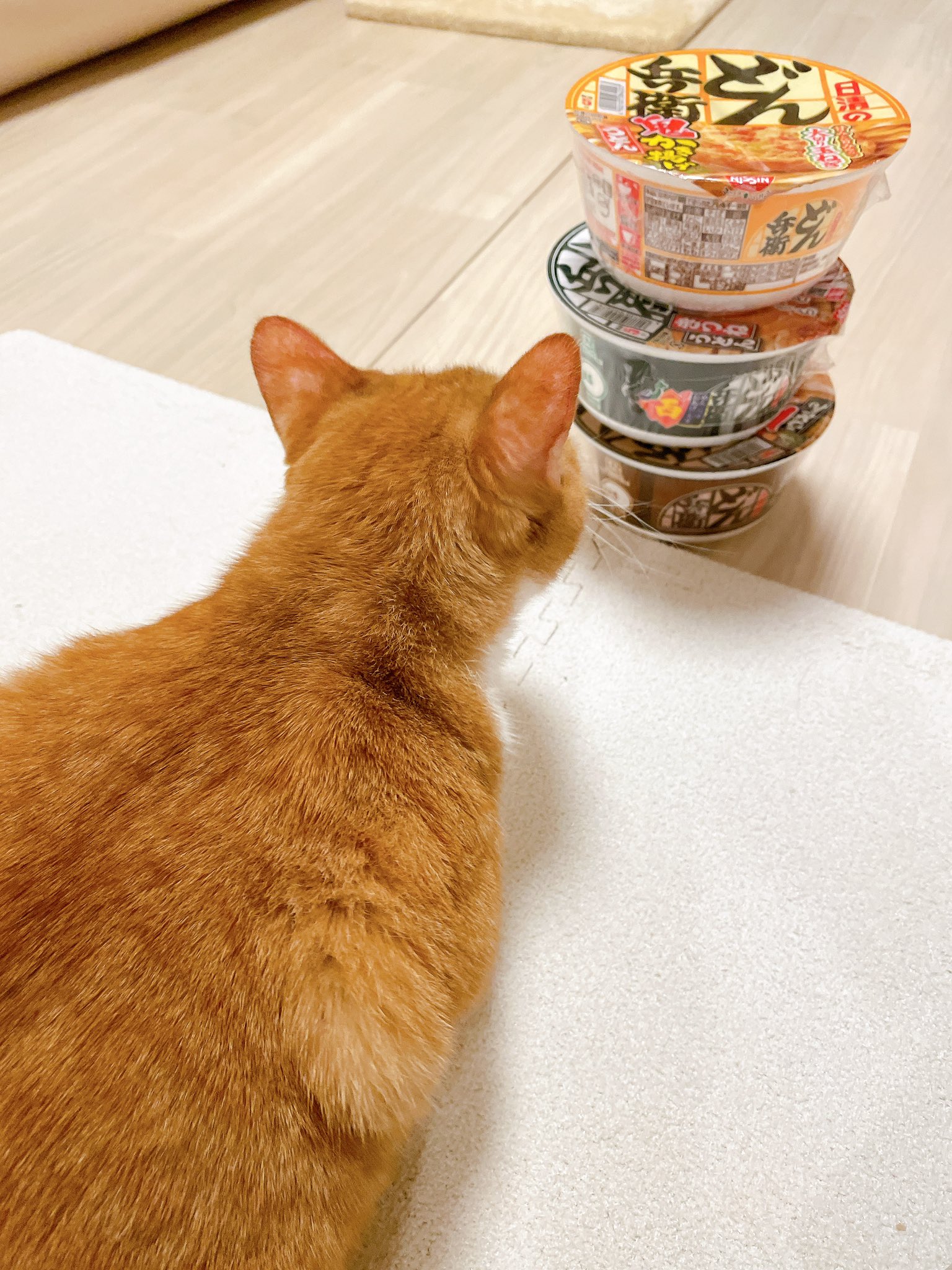 きなこページ きなこ (@9i_7a_5o) / X