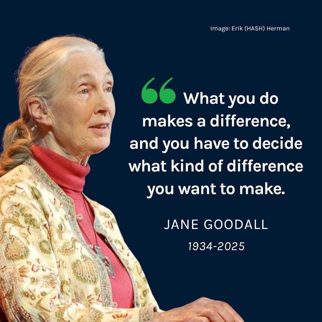 Tzeporah Berman tweet media