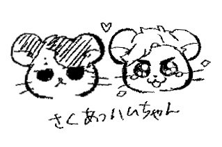 renka_1034's tweet photo. さくあつﾊﾑちゃん🐹🐹 https://t.co/Wx0udIb705