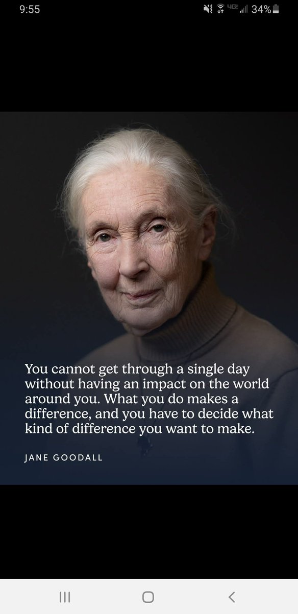 bianna cardinale ❤🇺🇦 (@biannacardinale) on Twitter photo 