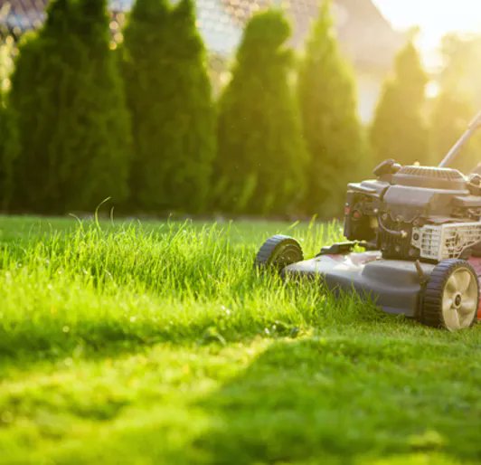 dougoster1's tweet image. We cover everything you need to know about late season lawn care on this week&apos;s podcast. Turf expert @ZaneRaudenbush from @DaveyTree  explains why fall is the best time to improve the lawn.
Listen here- …kingtreeswithdaveytree.buzzsprout.com