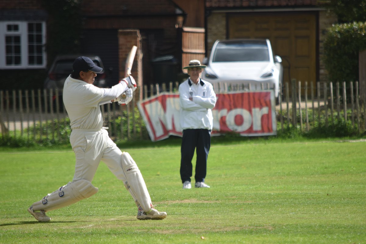 The Bushmen tweet media