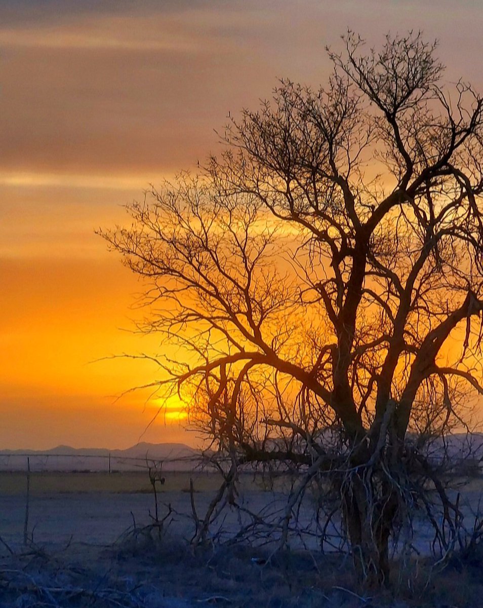 BuistWestley's tweet photo. Good morning https://t.co/wpXfel9KnL