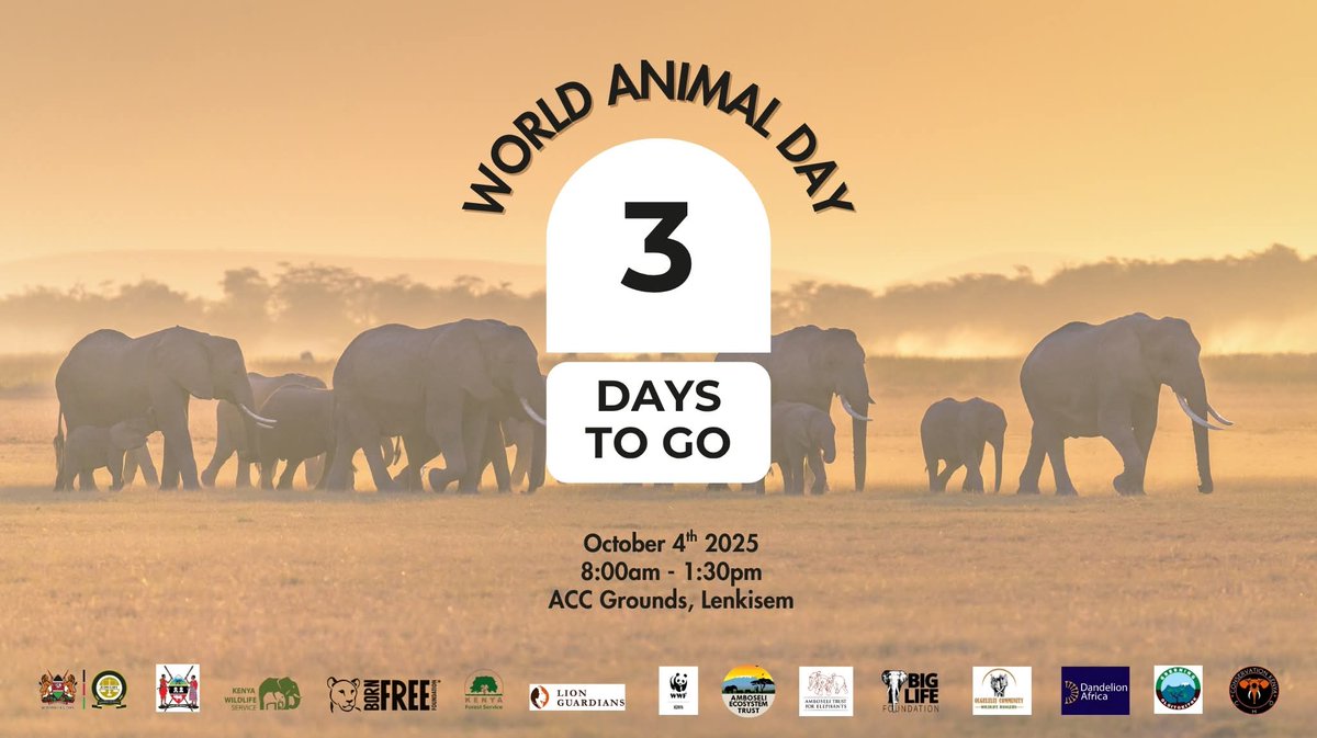 Amboselinp's tweet photo. We can't keep calm!!
Count down to our animals' special day - WORLD ANIMALS DAY. ^MJ
๐
Date: October 4th, 2025
๐ Location: ACC Grounds, Lenkisem
๐ฑ Theme: Save Animals, Save the Planet
#WorldAnimalDay
#SaveAnimalsSaveThePlanet
#TunzaMaliYako
#ExploreExperienceConserve https://t.co/cXCG0GeHtx