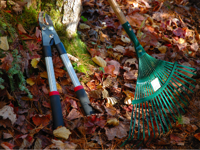 elitesouthedm's tweet image. 🍂 Fall is the perfect time to declutter &amp;amp; reset! 🧹📦 Check out our blog for simple fall cleaning &amp;amp; storage tips to keep your home organized and stress-free. 👉 eliteselfstorage.ca/fall-cleaning-…

#FallCleaning #StorageTips #EliteSelfStorage