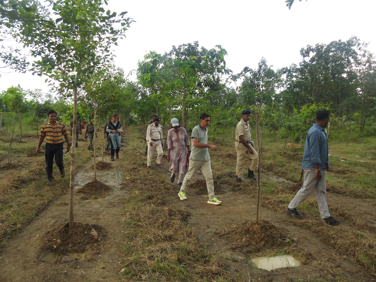 Hon’ble PCCF &amp; HoFF Shri Suresh Pant, IFS, visited ANR Plantation at Kankarkhol PRF near Tinkbir 2024-25 under CAMPA in the Reamal range of Deogarh forest division. 
<a href="/CMO_Odisha/">CMO Odisha</a> 
<a href="/pccfodisha/">PCCF & HoFF Odisha</a> 
<a href="/Prem_CWLWOdisha/">Prem Kumar Jha</a> 
<a href="/RourkelaRc79045/">RCCF Rourkela</a> 
<a href="/dpradhanbjp/">Dharmendra Pradhan</a> 
<a href="/ForestDeptt/">Odisha Forest, Env. and Climate Change Department</a>
