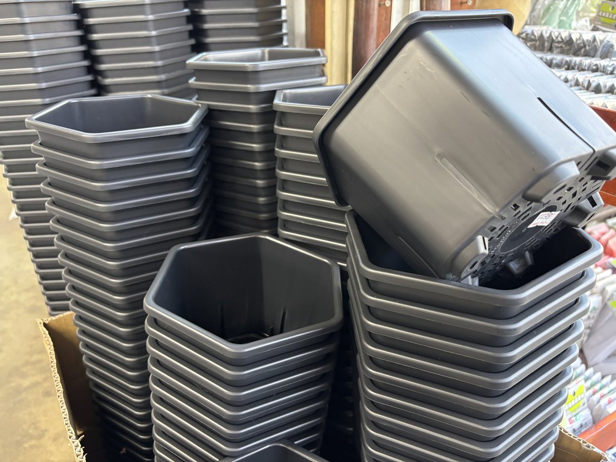 のらさま　2点　鉢 セラアート長鉢-2.5号/2.5寸(当店2号)-マットな黒○ブラック(陶器風