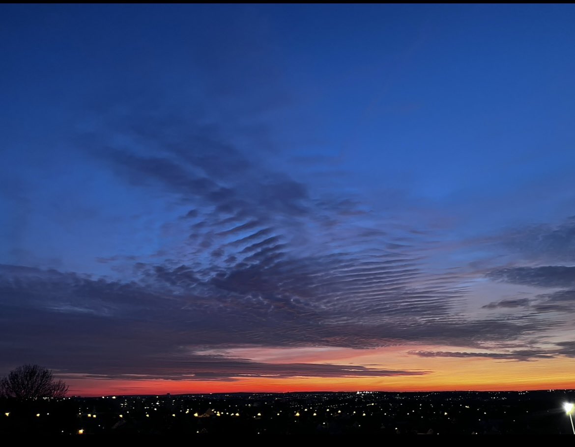 protocol_lain's tweet image. 