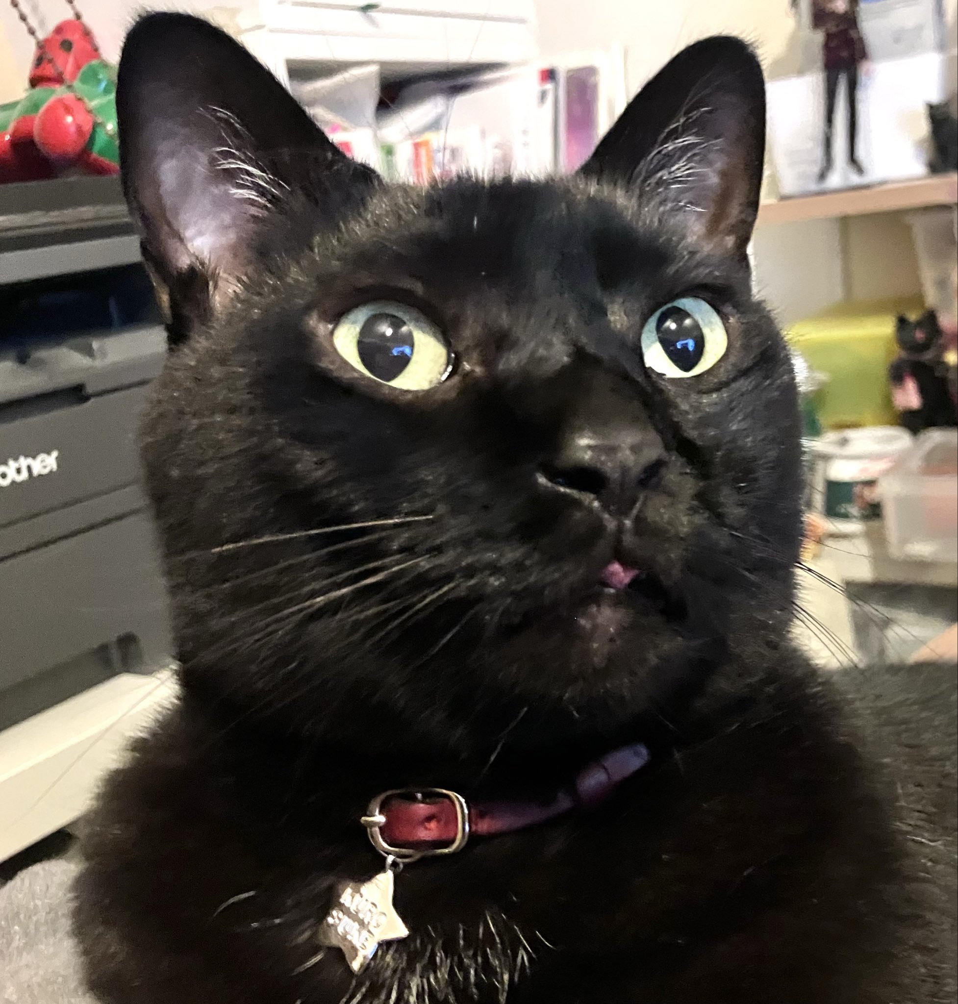 しおやてるこ on X: 