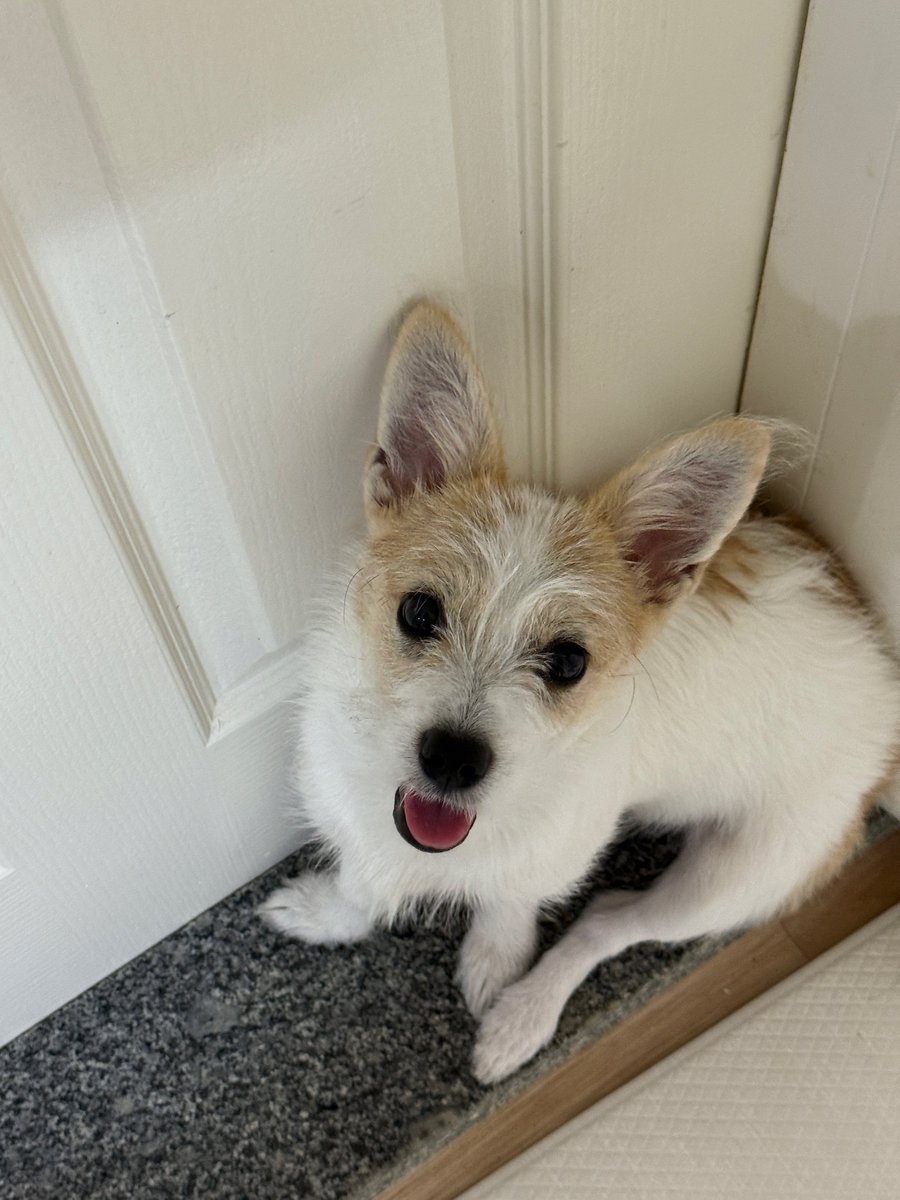 진짜 사고뭉치 대박 얼굴에 쓰여있음