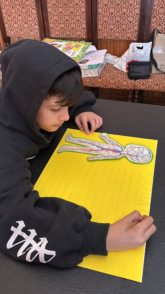 Stefania tweet media