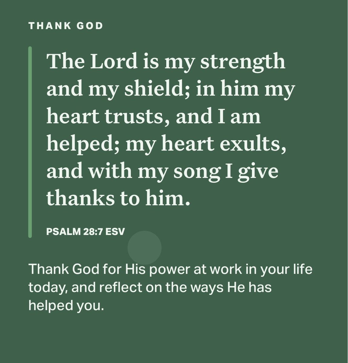 Mrs. Sassy Sasquatch (@mrssassysasqtch) on Twitter photo 