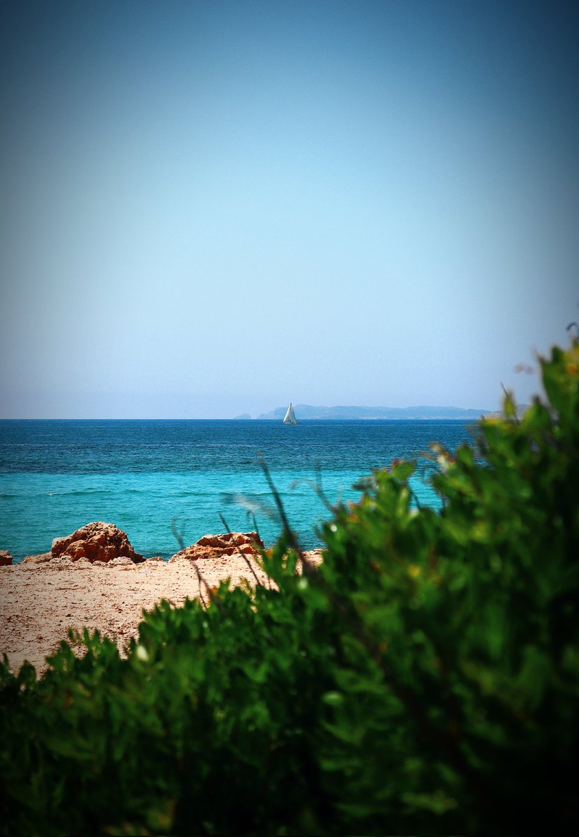 •Ѵҽɾóɳiᥴα• tweet media