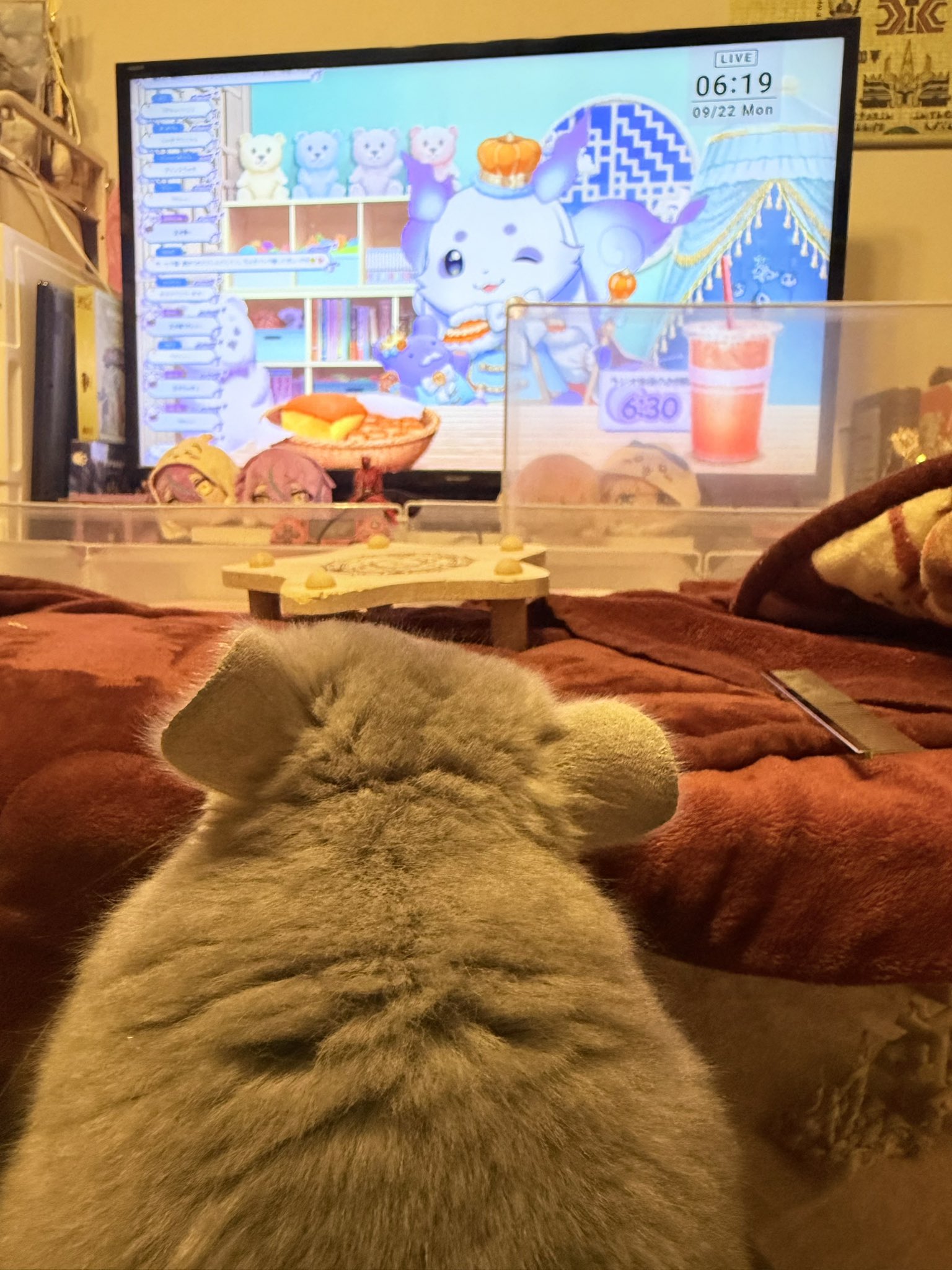 ＊みーにゃん様お取置き１０/1＊シルバーオブシディアン　うさぎ　アラシャン瑪瑙 みーにゃん様お取置き9/18＊シルバーオブシディアンうさぎ