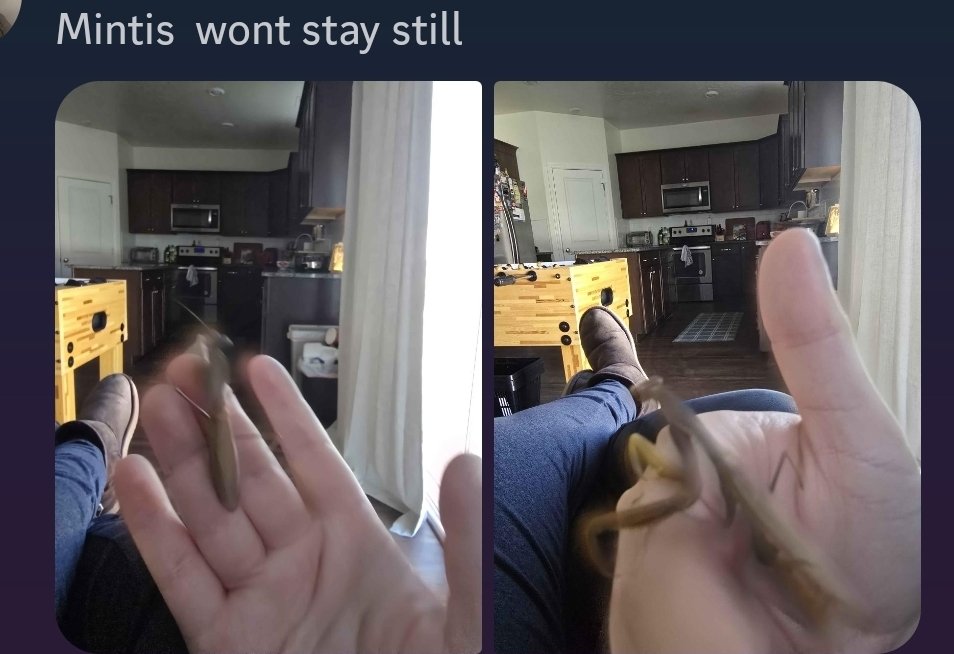 There was considerable trial and error involved here