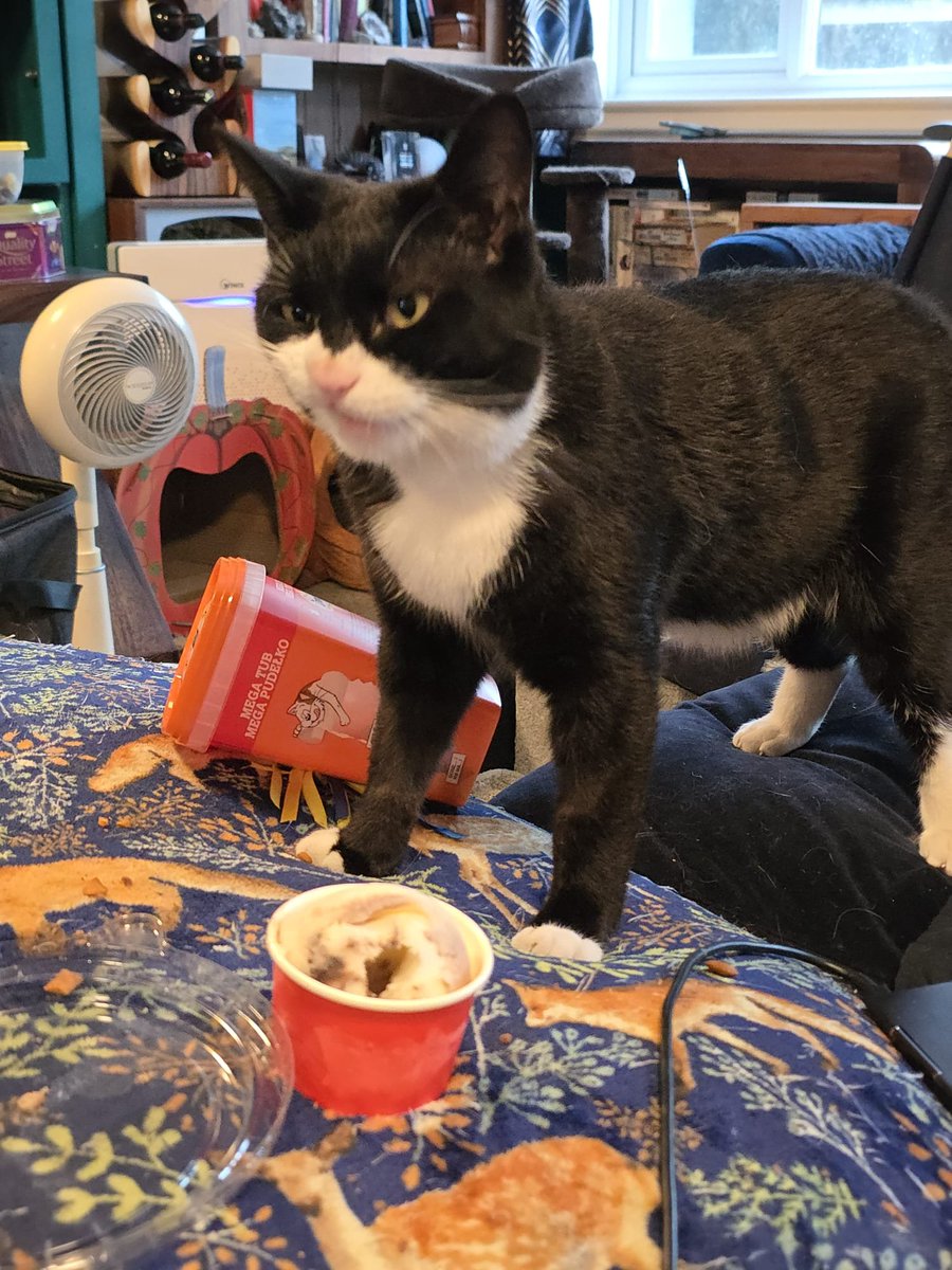 Holly Brockwell tweet media