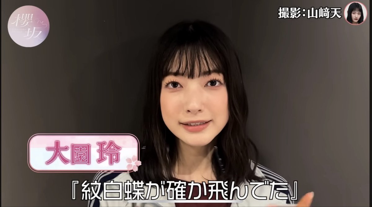 紋白蝶が確か飛んでた