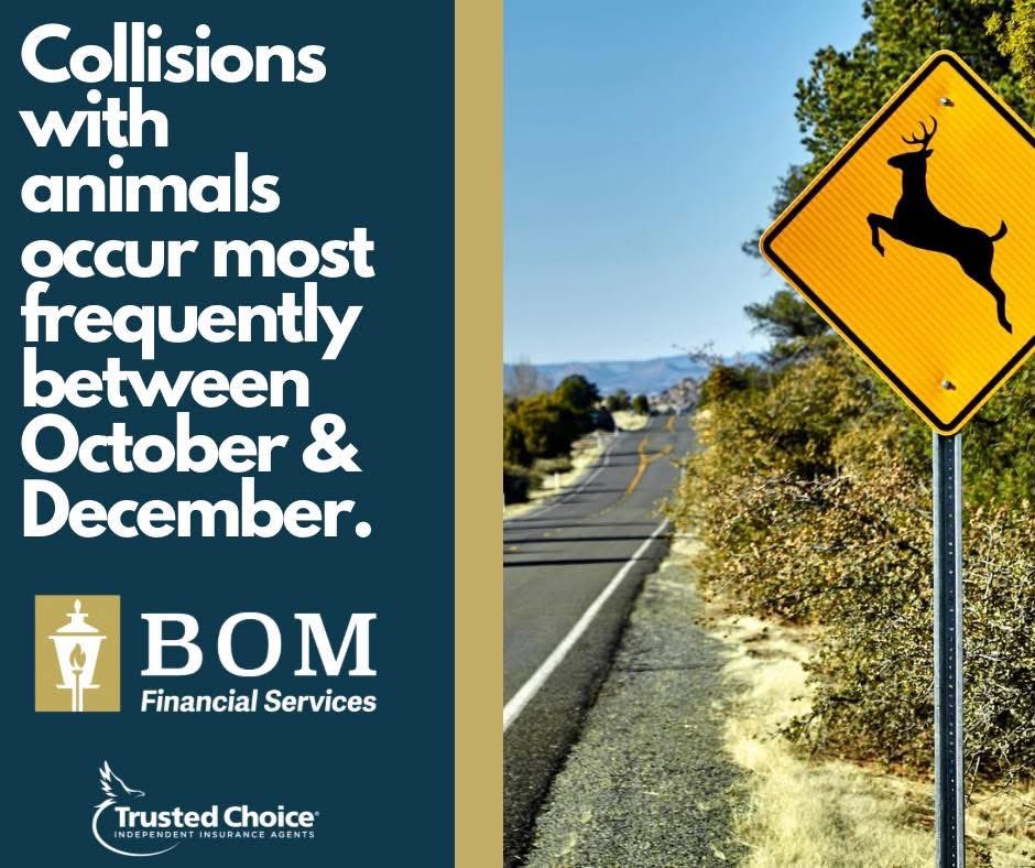It’s that time of year! The deer are starting to move. Comprehensive coverage can help cover damage to your vehicle from a collision with an animal. Give us a call today to review your deductible or get a quote on adding this coverage.
